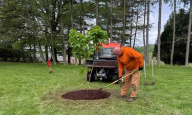 An Anne Frank tree planted was at Seton Hill University on May 7.