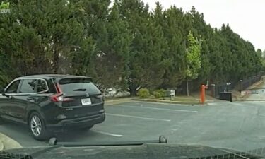 Noelle Wilson was pulled over in Georgia because the license plate on the car she was driving didn't match the vehicle.