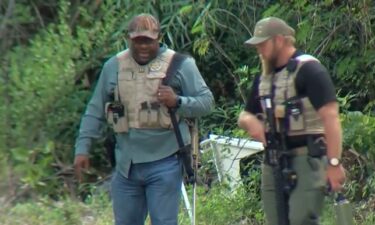 Gulf Coast News confirmed with FWC officials on scene that two bears were removed from the area late on May 5.