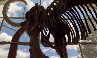 The new name for Utah's NHL team is breathing some new life into an old museum in a small central Utah town.