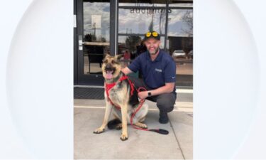 Park Hill Dave is now in his forever home thanks to the hard work and dedication of Denver Parks and Recreation.