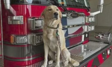 A North Texas fire department is mourning after learning of the death of its beloved firehouse dog that went missing after a storm moved through the area last week.