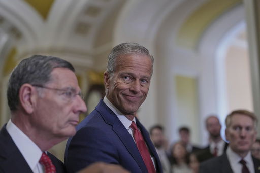 Senate Majority Leader John Thune