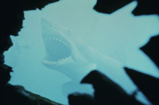 This image released by Peacock shows a scene from