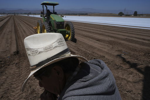 Farm workers plow the land for a strawberry field in Oxnard