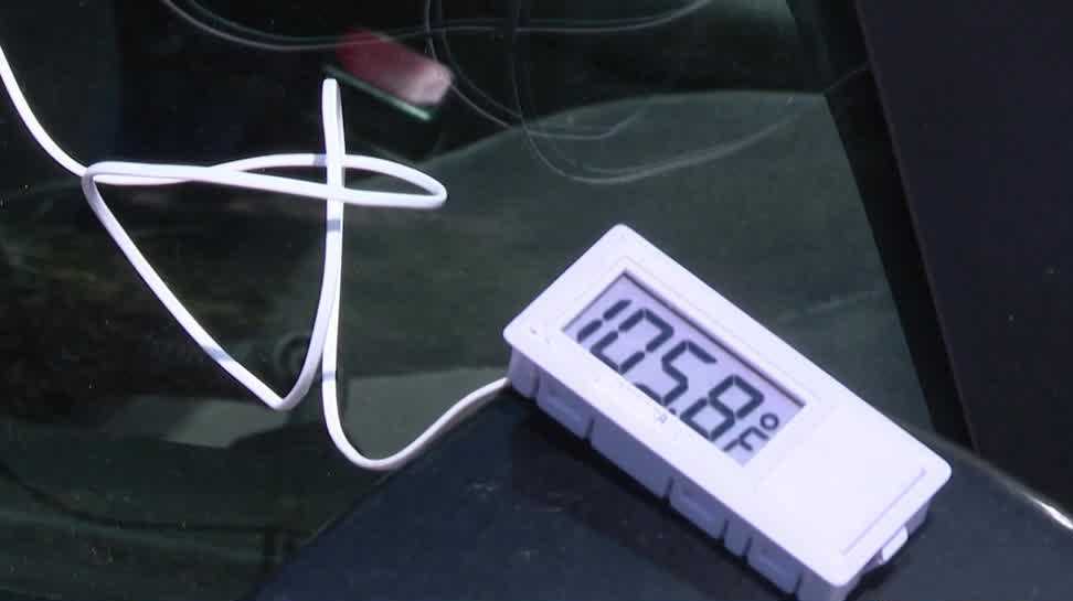 <i>KETV via CNN Newsource</i><br/>The Nebraska Humane Society (NHS) held a demonstration showcasing the dangers of leaving animals in a car.
