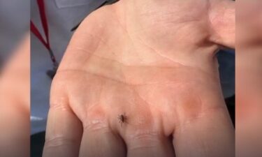 Tick season is here.