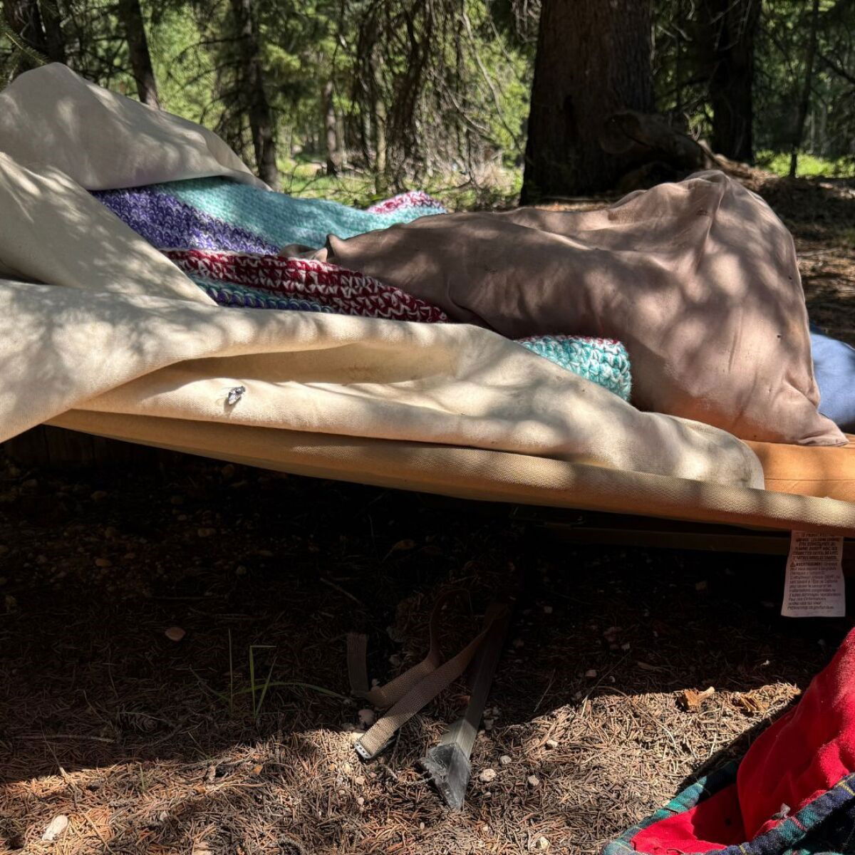 <i>DWR/KSTU via CNN Newsource</i><br/>A southern Utah man is out of the hospital after he was attacked by a black bear while trying to sleep on a cot outdoors near Bryce Woodlands.