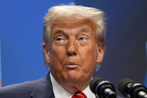 President Donald Trump speaks during a media conference at the end of the NATO summit in The Hague