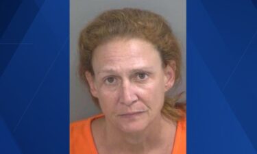 A Collier County woman faces felony theft charges after deputies say she stole jewelry valued at more than $106