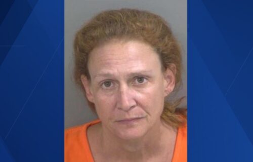 A Collier County woman faces felony theft charges after deputies say she stole jewelry valued at more than $106