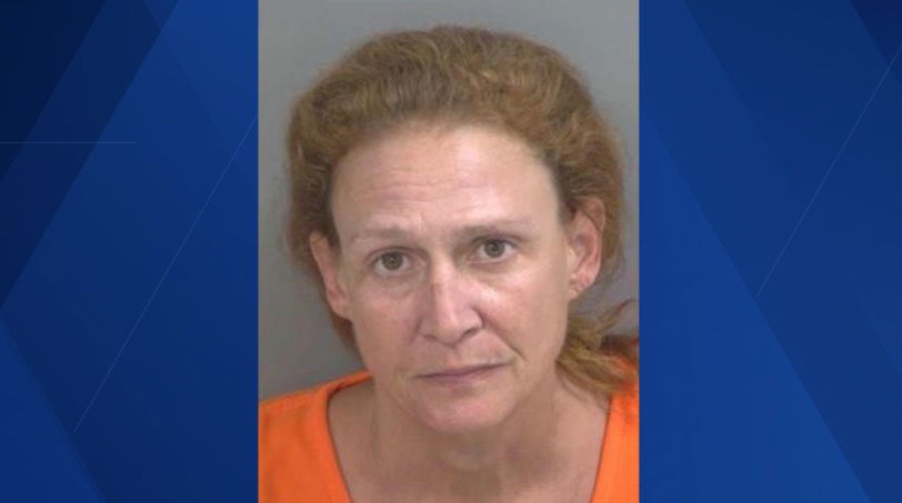 <i>Collier County Sheriff's Office via CNN Newsource</i><br/>A Collier County woman faces felony theft charges after deputies say she stole jewelry valued at more than $106