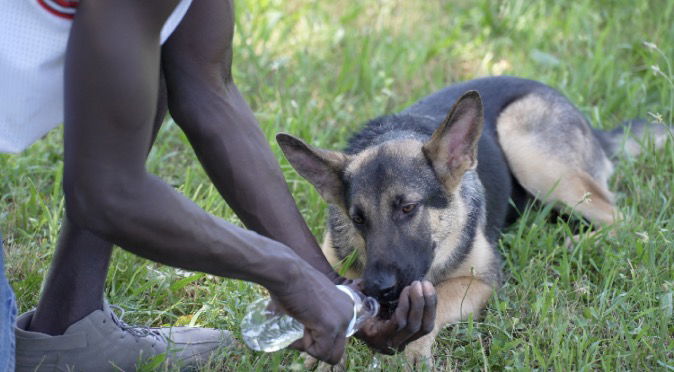 <i>KMTV via CNN Newsource</i><br/>Volunteers in Omaha are distributing water