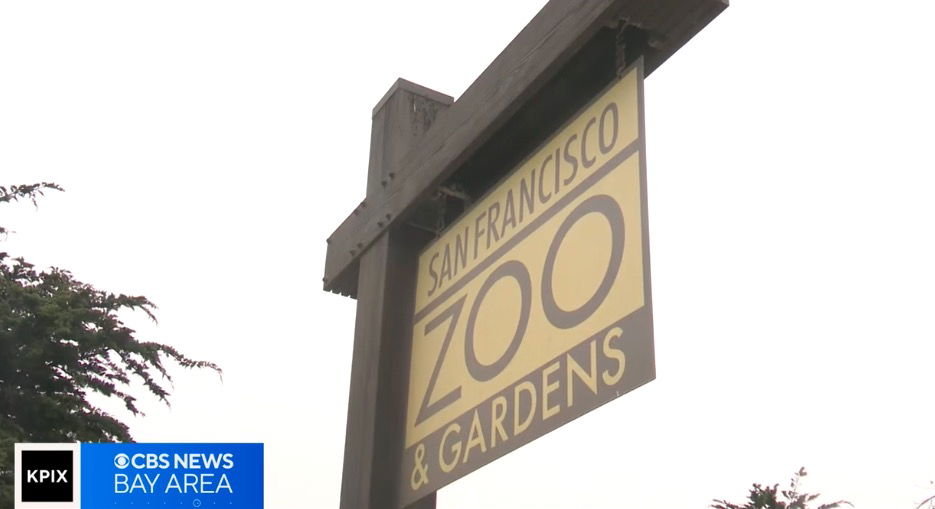 <i>KPIX via CNN Newsource</i><br/>Mayor Daniel Lurie has joined a growing chorus of voices calling for new leadership at the San Francisco Zoo