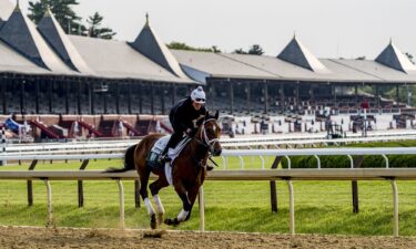 Journalism during a training session ahead of this year's Belmont Stakes.