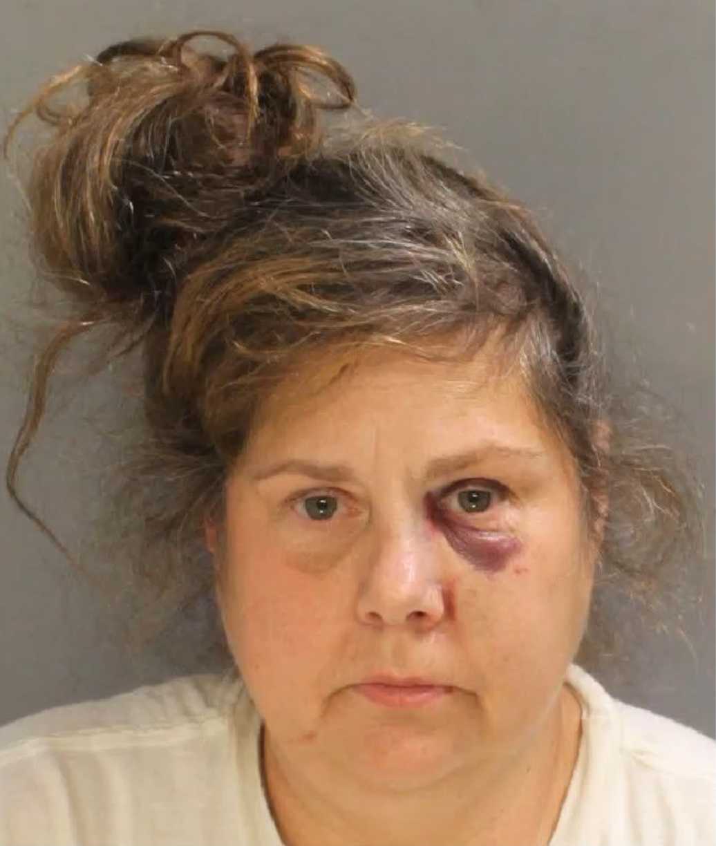 <i>Police/WGAL via CNN Newsource</i><br/>A woman was charged after attacking a 72-year-old with an ice chopper in York County