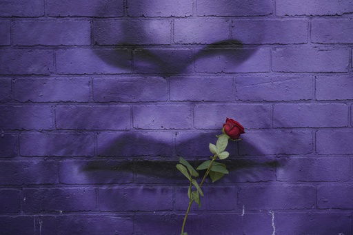 A flower is placed by a music fan to commemorate the death of Ozzy Osbourne in Birmingham