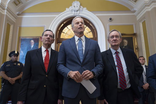 Senate Majority Leader John Thune