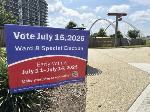 A District of Columbia Board of Elections sign advertising a special election in the city's 8th Ward is pictured near the Frederick Douglass Memorial Bridge in southeast Washington
