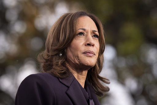 FILE - Democratic presidential nominee Vice President Kamala Harris speaks in Washington