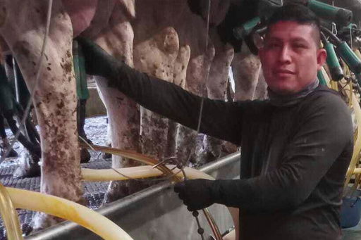 In this photo provided by migrant farmworker José Molina-Aguilar