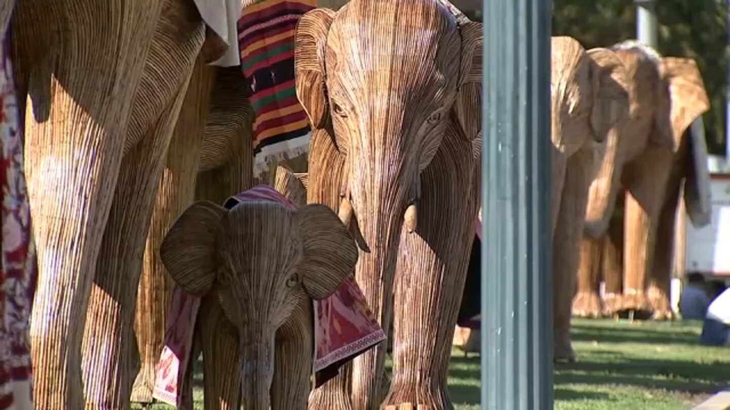 <i>KABC via CNN Newsource</i><br/>A herd of elephant sculptures takes over Beverly Hills to raise awareness for wildlife coexistence.