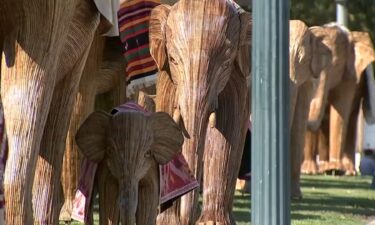 A herd of elephant sculptures takes over Beverly Hills to raise awareness for wildlife coexistence.