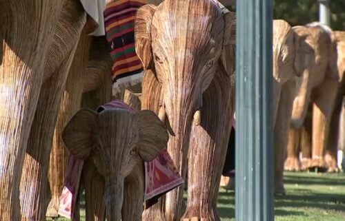 A herd of elephant sculptures takes over Beverly Hills to raise awareness for wildlife coexistence.