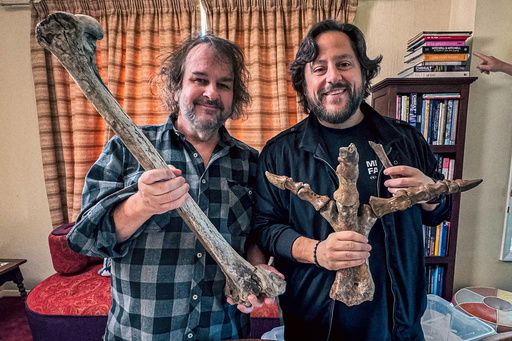 Filmmaker Peter Jackson