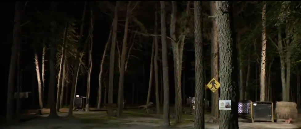 <i>WCBS via CNN Newsource</i><br/>One person was killed and over a dozen others were injured after being struck by lightning in Jackson Township