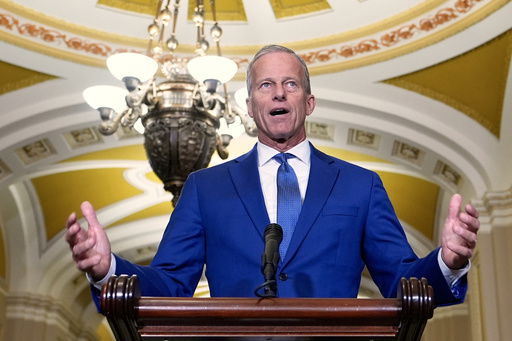 Sen. Majority Leader John Thune