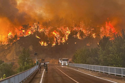 A wildfire rages across a forested area near Cavuslar village