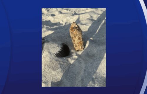 Hillsborough County Sheriff's Office Bomb Squad and the MacDill Air Force Base Explosive Ordnance Disposal (EOD) team both responded to Indian Rocks Beach after a possible explosive device resembling WWI artillery shell was found