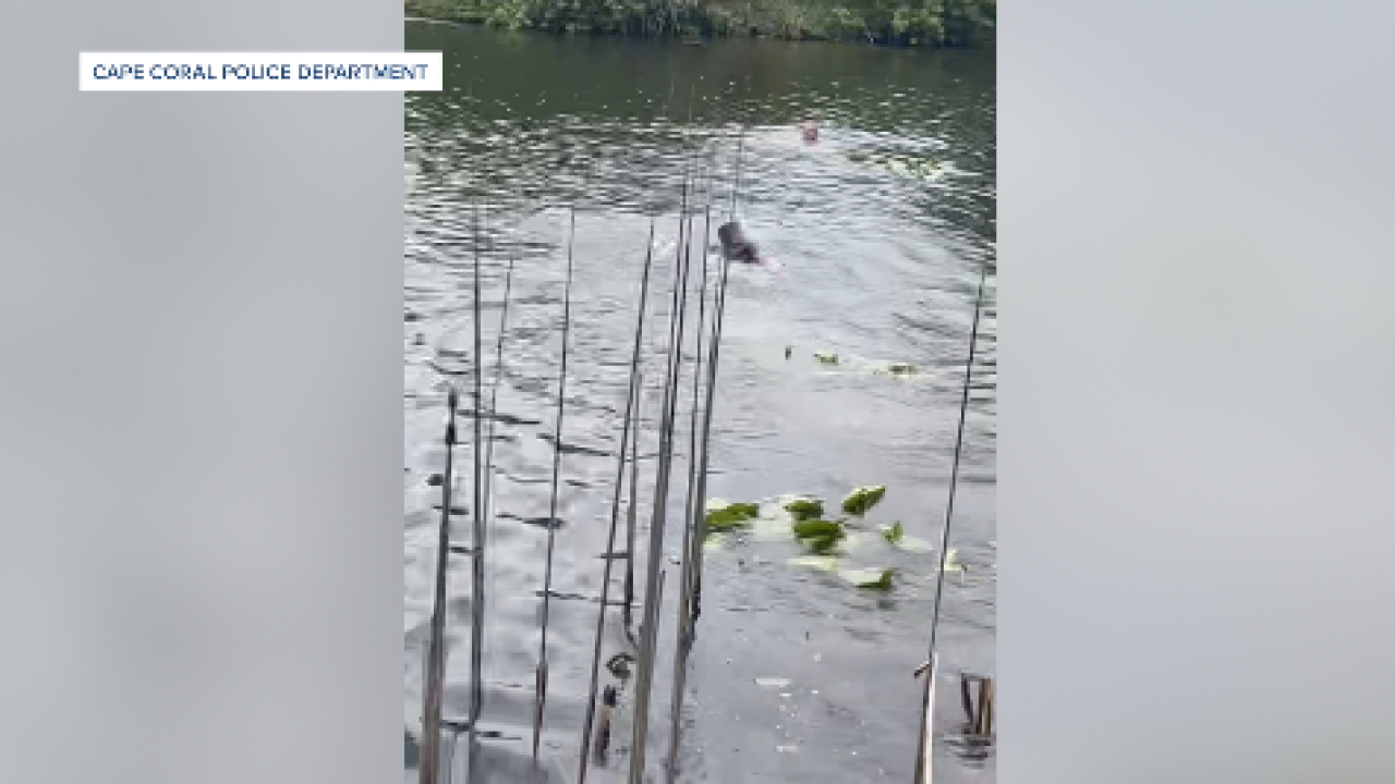 <i>Cape Coral Police Department/WFTX via CNN Newsource</i><br/>A woman accused of stealing more than $500 worth of merchandise from a Cape Coral Target was arrested after jumping into a canal to evade police.