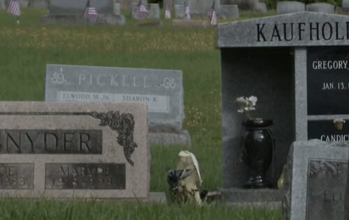 More than 100 vases were stolen from a cemetery in Columbia