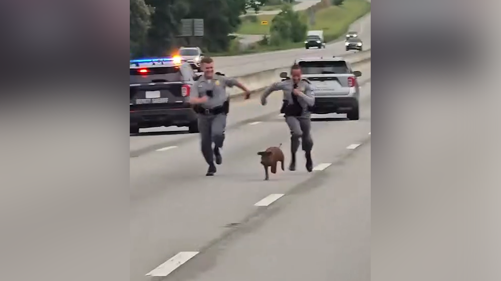 <i>South Carolina Department of Public Safety/WJCL via CNN Newsource</i><br/>