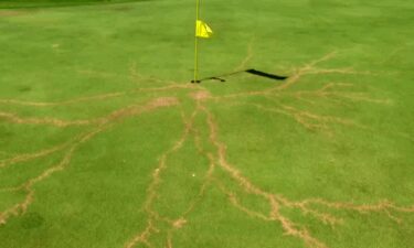 A lightning strike on a flag at Gator Trace Golf Course left a scar on the green.