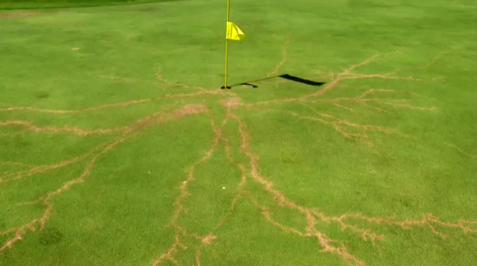<i>WPTV via CNN Newsource</i><br/>A lightning strike on a flag at Gator Trace Golf Course left a scar on the green.