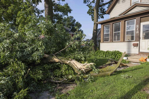 A downed tree limb blocks the entryway of a house on in La Crosse
