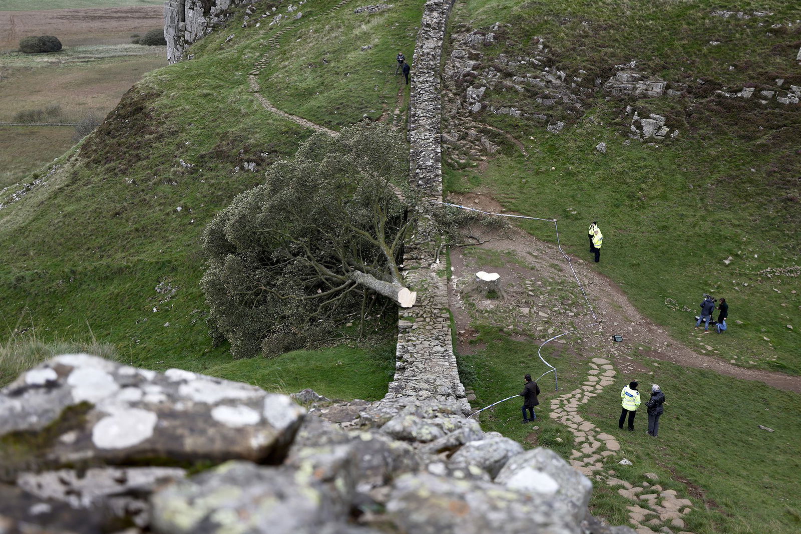 <i>NNPA via CNN Newsource</i><br/>The largest part of the salvaged trunk of the Sycamore Gap Tree will be on display in a public