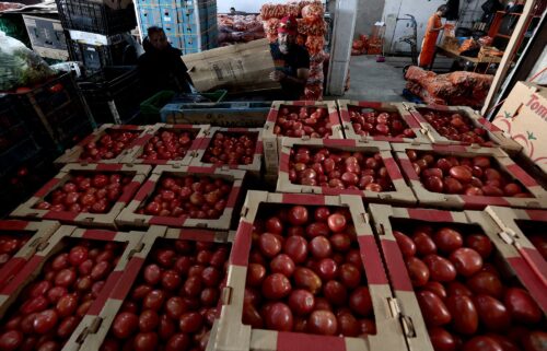 Boxes of tomatoes at the Central de Abastos market in Guadalajara