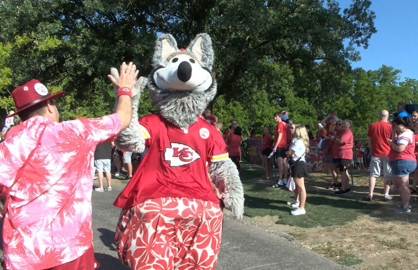kc wolf 3