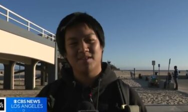 Witness Hayden Nguyen said he watched in horror as the lifeguard swung into the side of the wooden landing early Monday night.