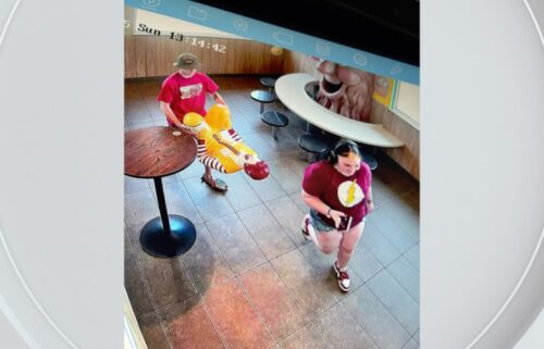 A group of at least four individuals was seen on camera.