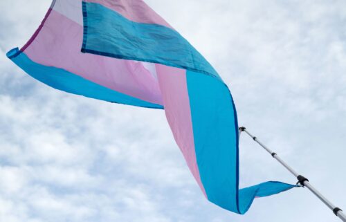 A transgender pride flag is waved during a rally against President Donald Trump's executive actions targeting transgender people