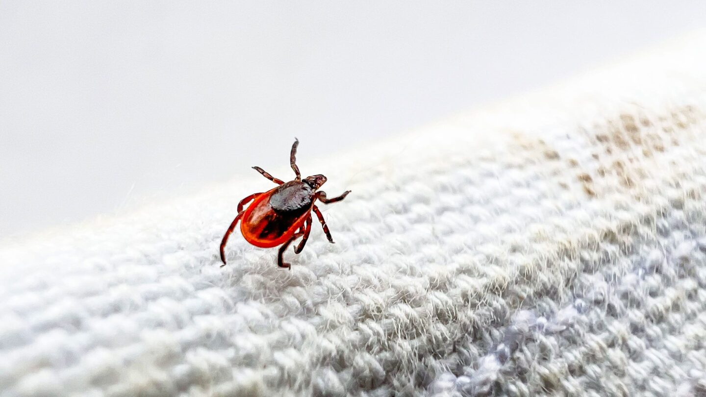 <i>Andrew Dolph/Times-Reporter/USA Today Network/Imagn via CNN Newsource</i><br/>A sign warning people about Lyme Disease is seen at the Norma Johnson Center.