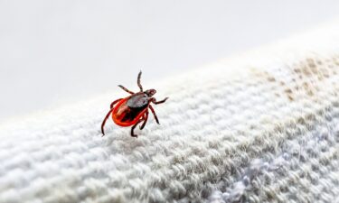 A sign warning people about Lyme Disease is seen at the Norma Johnson Center.