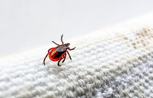A sign warning people about Lyme Disease is seen at the Norma Johnson Center.