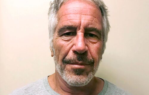This photo provided by the New York State Sex Offender Registry shows Jeffrey Epstein