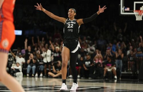 A'ja Wilson made WNBA history with a 30-20 stat line.